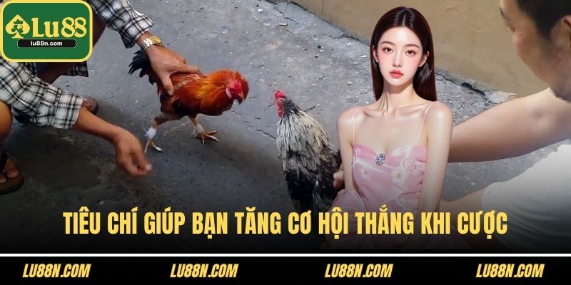 Tiêu chí giúp bạn tăng cơ hội thắng khi cược